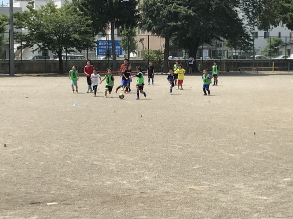 img_20170709-232923.jpg
