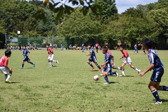 img_20170904-115541.jpg