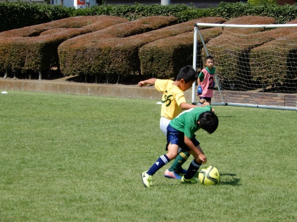 img_20170914-183200.jpg