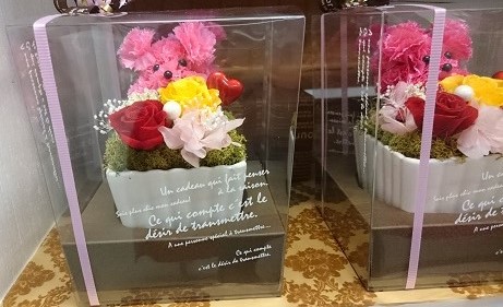 img_20170506-134242.jpg