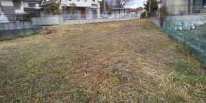 img_20200122-090852.jpg