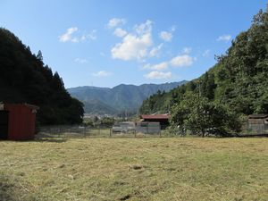 img_20201006-053558.jpg