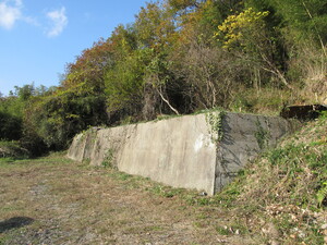 img_20201203-120204.jpg