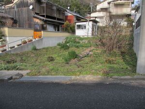 img_20201226-012010.jpg
