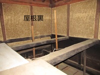 img_20220310-114648.jpg