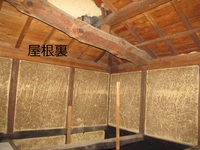 img_20220310-114704.jpg