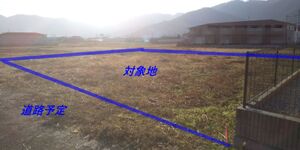 img_20220311-060918.jpg