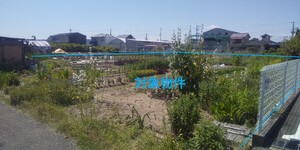 img_20240608-121633.jpg