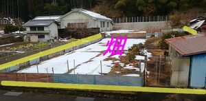 img_20241111-212656.jpg