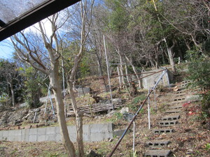 img_20251229-223814.jpg