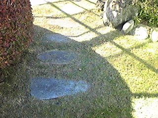 img_20131122-172311.jpg