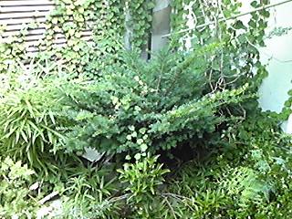 img_20170717-091630.jpg
