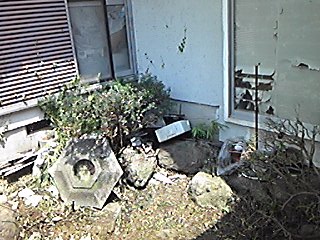 img_20170717-091654.jpg