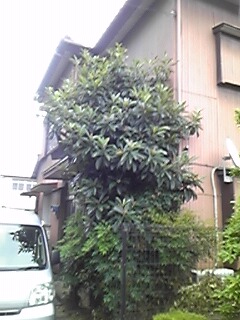 img_20170826-103421.jpg