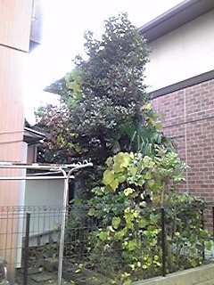 img_20170826-103448.jpg