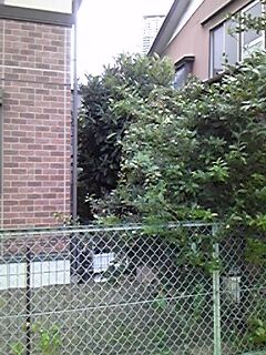 img_20170826-103518.jpg