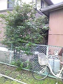 img_20170826-103558.jpg