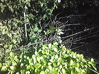 img_20181023-221251.jpg