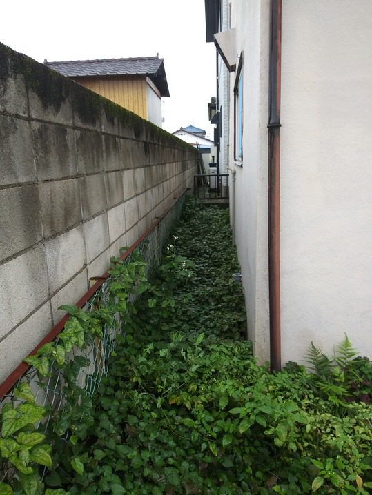 img_20200730-225355.jpg
