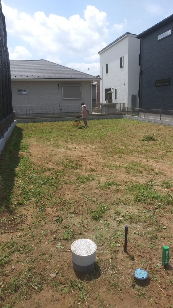 img_20250622-060338.jpg