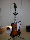 Epiphone YES FIREBIRD V(GINさん) Epiphone YES FIREBIRD V(GINさん)