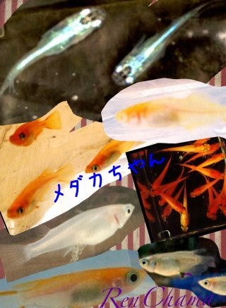 img_20130315-131534.jpg