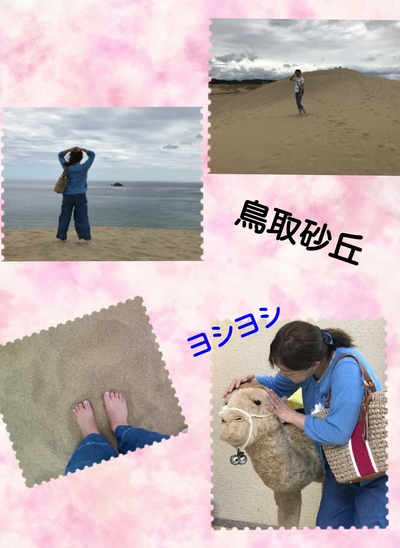 img_20180831-032908.jpg