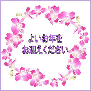 img_20221231-041837.gif