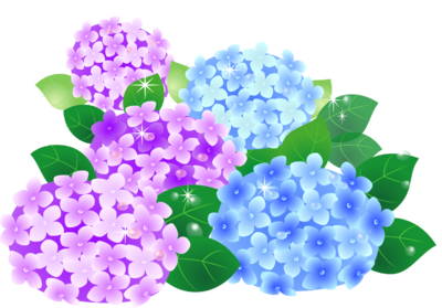 img_20230702-075113.png