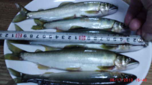 img_20130617-155408.jpg