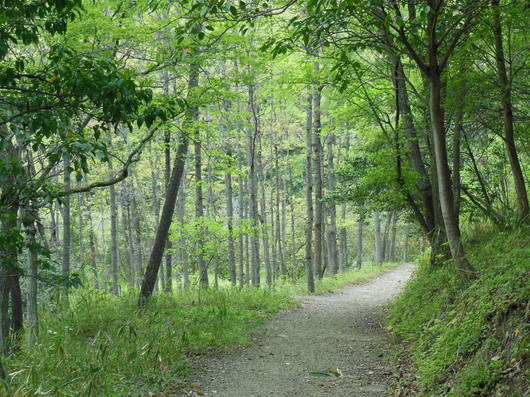 img_20130429-221853.jpg