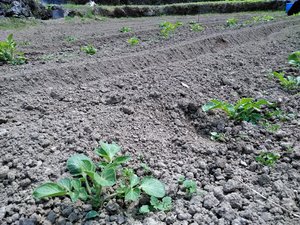 img_20170429-121003.jpg
