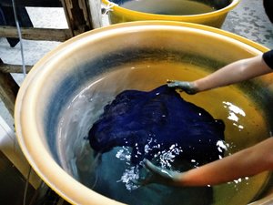 img_20170504-220449.jpg