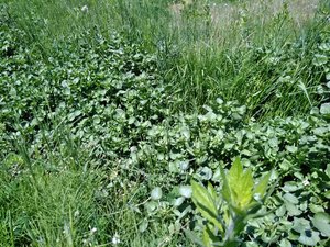 img_20170507-165840.jpg