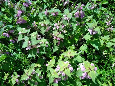 img_20170514-200118.jpg