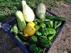 img_20170806-104723.jpg