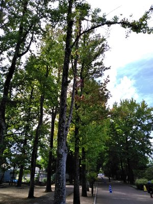 img_20170910-192919.jpg