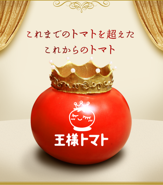 岩槻いちごファームNakaiwa トマトの品種