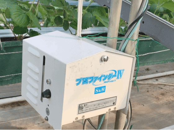 岩槻いちごファームNakaiwa こだわりポイント