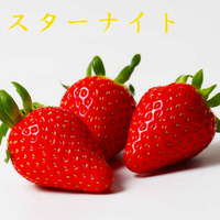 岩槻いちごファームNakaiwa いちごの品種