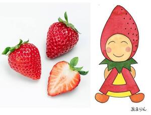 いちごページ いちご ストロベリー いちごページ 苺♥ いちごページ 椿 Buy ZX 8000