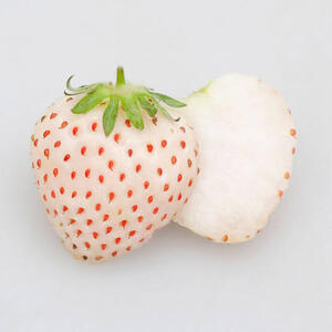 いちご(*☻-☻*)ページ 岩槻いちごファームNakaiwa いちごの品種