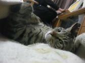 img_20120317-103947.jpg