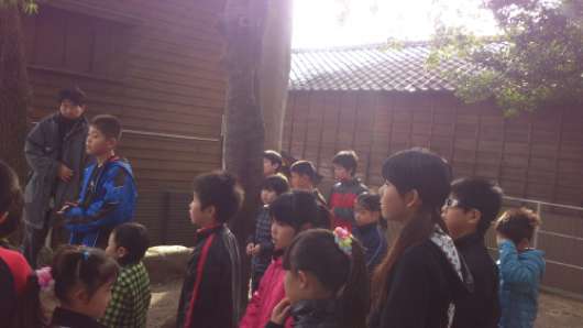 img_20130108-103409.jpg