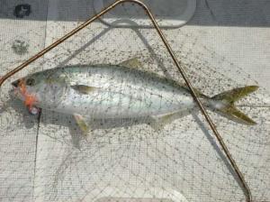 img_20120619-172755.jpg