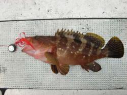 img_20120619-174026.jpg