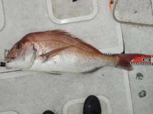 img_20120619-202834.jpg