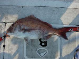 img_20120619-203428.jpg