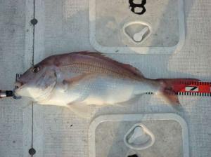 img_20120619-210824.jpg