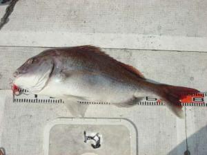 img_20120619-212051.jpg